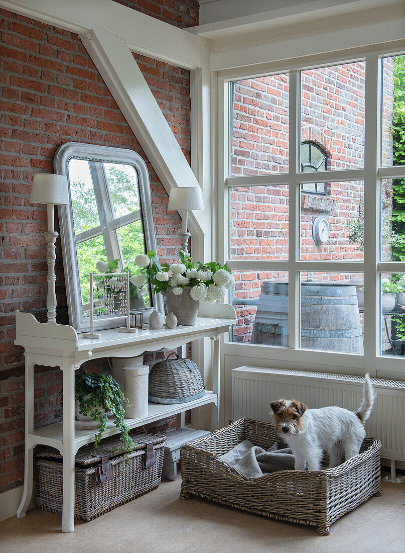 Dog basket with dog, console table in front of brick wall and window