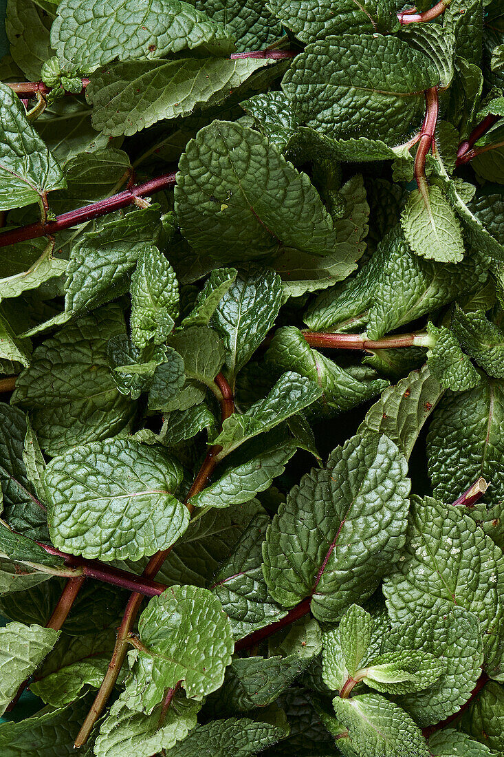 Fresh mint leaves (close-up)