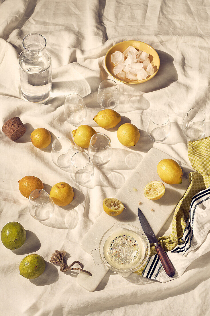 Ganze und ausgepresste Zitronen mit Gläsern, Eiswürfeln und einer Karaffe Wasser im Sonnenlicht