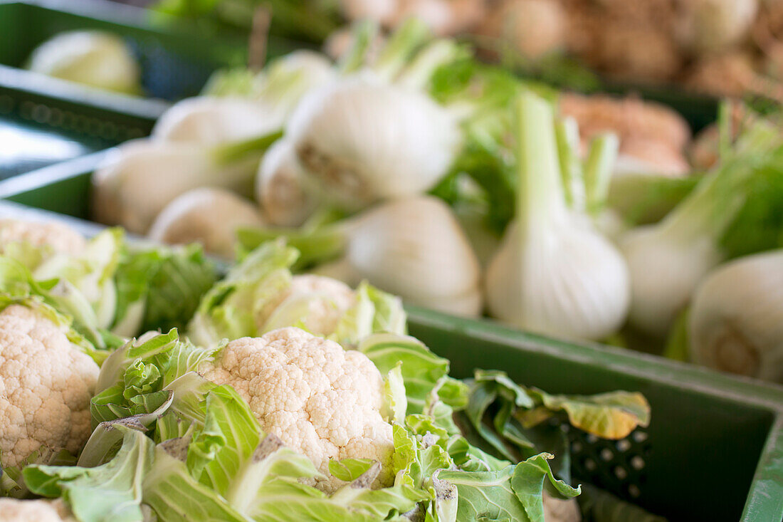 Fresh cauliflower and fennel at the market