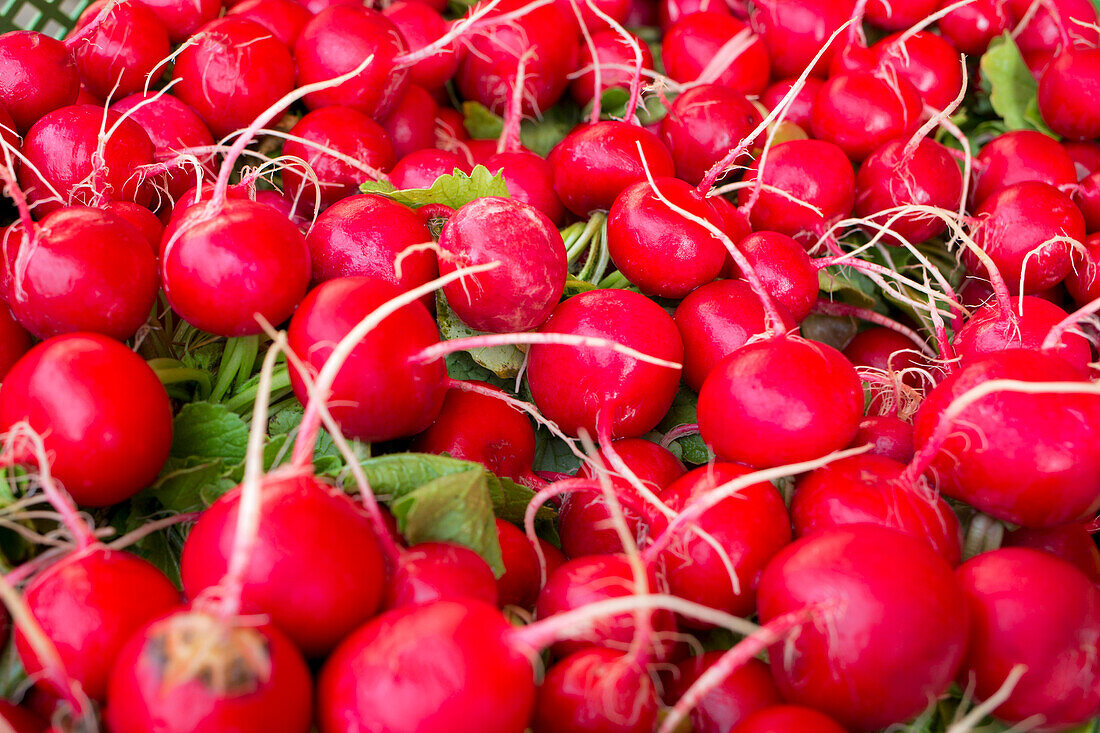 Fresh radishes at the market