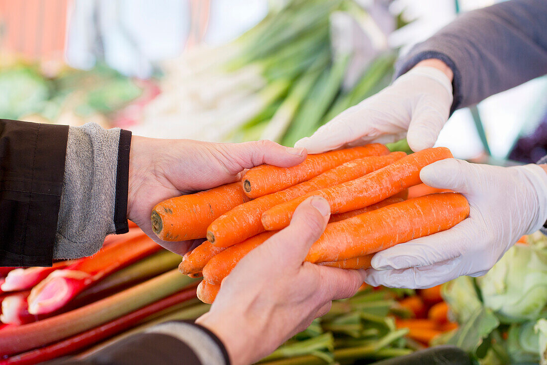 Buying carrots at the market