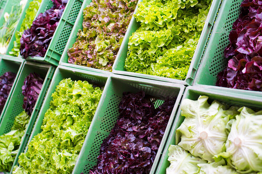 Assorted Lettuce at a Market
