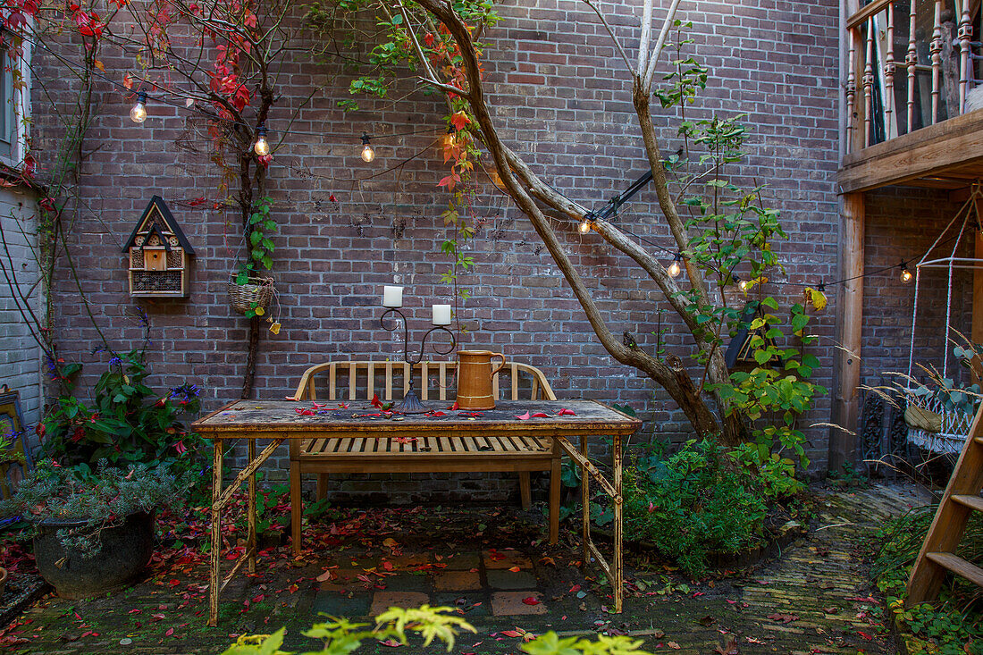 Autumnal courtyard with wooden table, fairy lights and climbing plants on brick wall