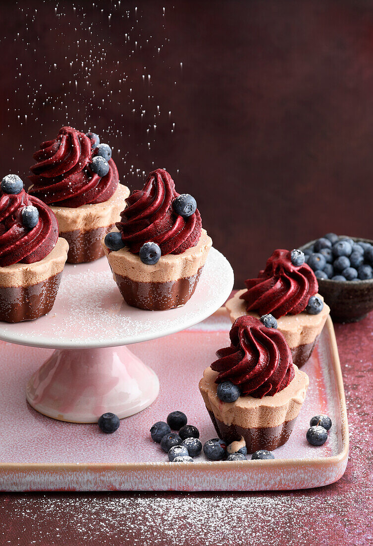 Frozen mocha and chocolate cupcakes with blueberry and sour cream ice cream