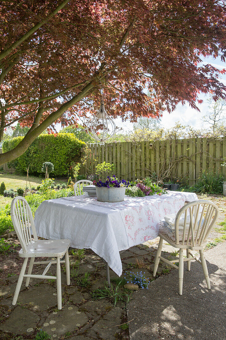 Gartentisch mit Tischdecken unter rotem Ahornbaum