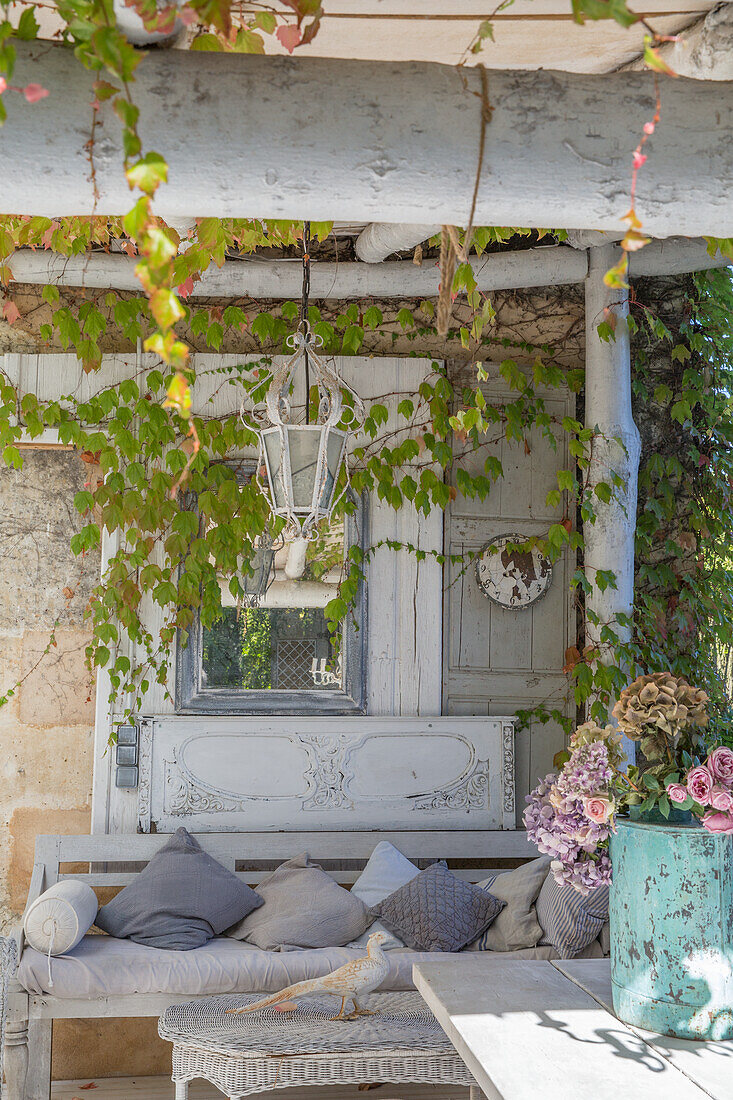 Covered terrace with climbing plants and antique furniture