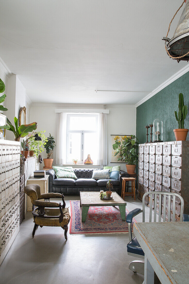 Living room with green accent wall, Chesterfield sofa and antique drawer units