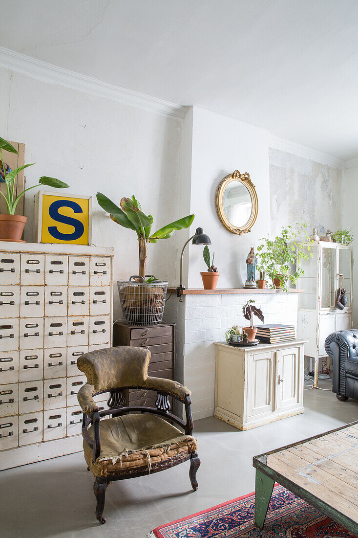 Room with antique furniture, plants and decorative objects