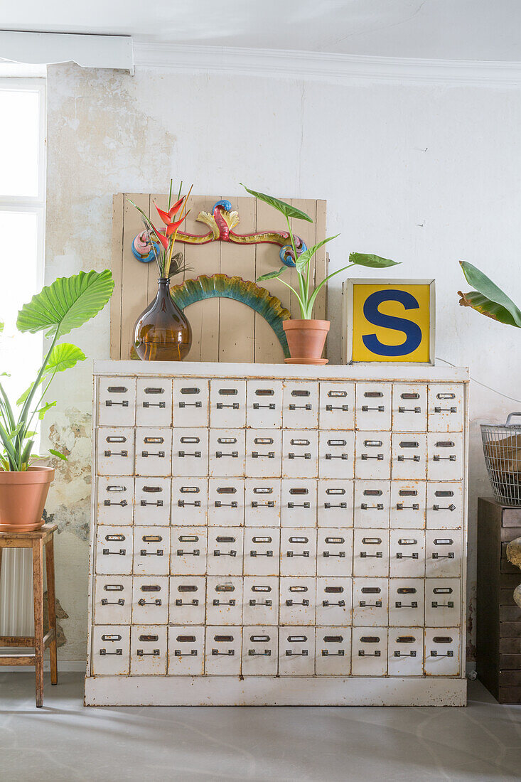 White apothecary cabinet with plants and decorations