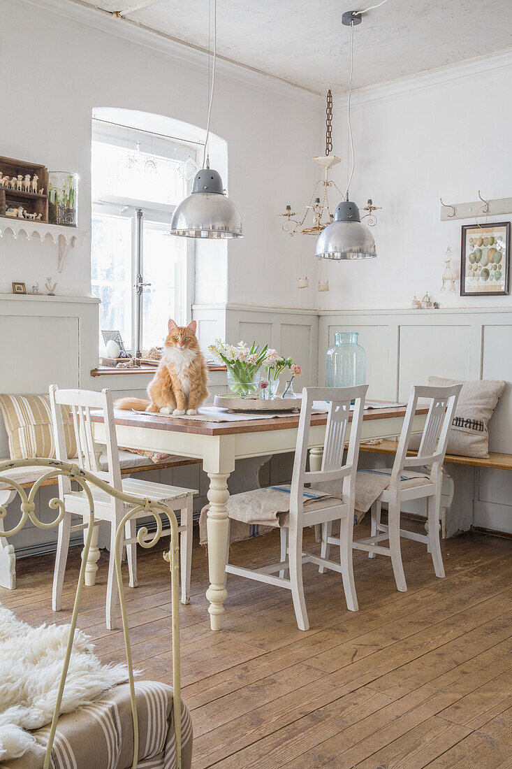 Wohn-Essbereich mit Holztisch, weißen Stühlen und Hängelampen, Katze auf Tisch