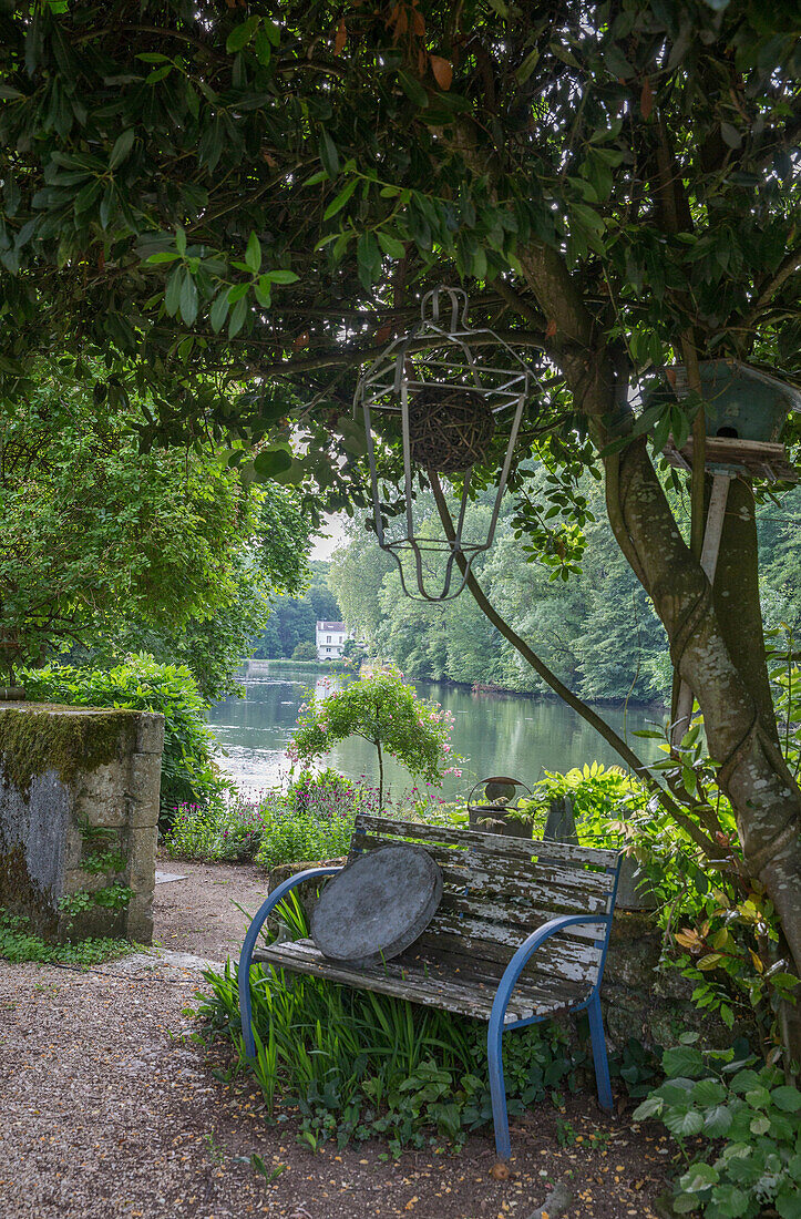 Sitzbank unter Baum mit Blick auf See