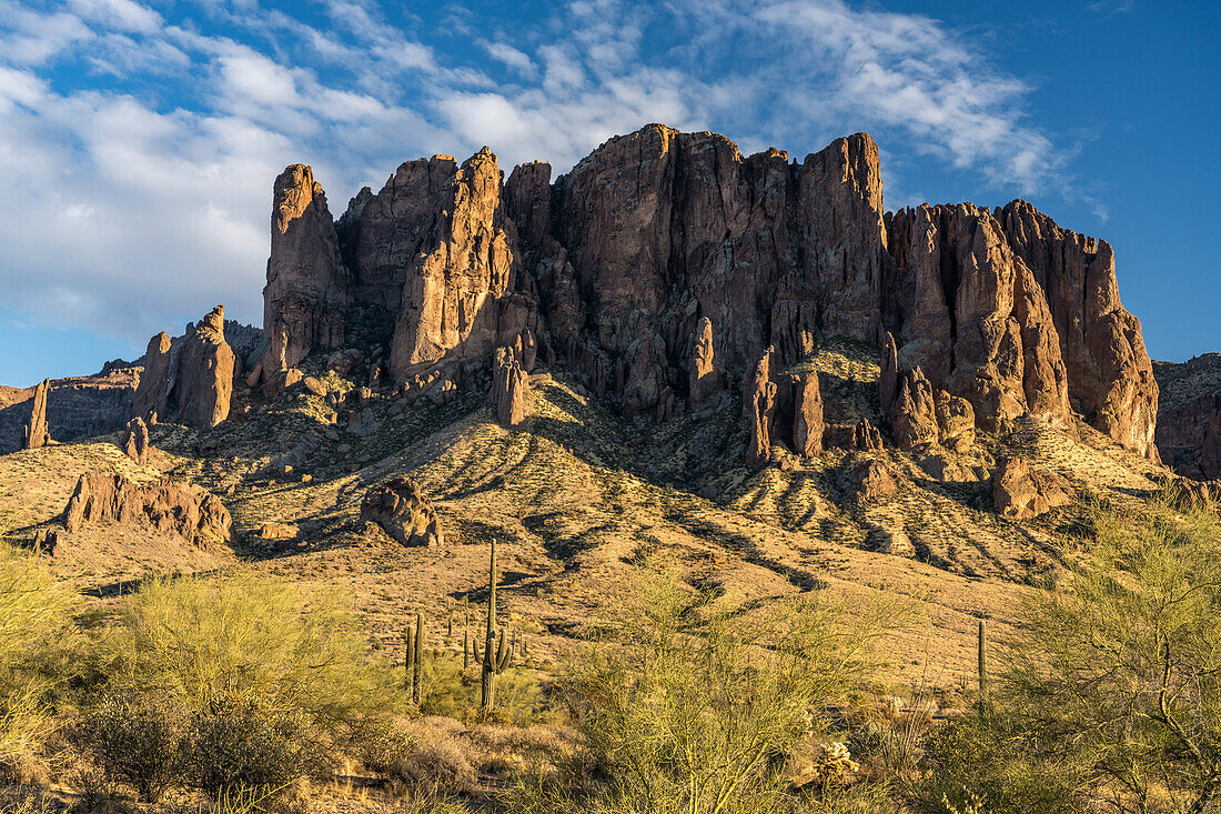 Palo verde-Bäume, Saguaro-Kakteen und Superstition Mountain. Lost Dutchman State Park, Apache Junction, Arizona