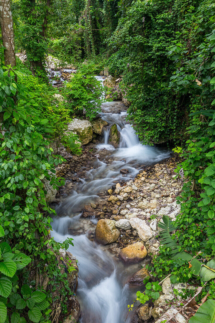 Ein kleiner Bach im Regenwald in der Provinz Barahona in der Dominikanischen Republik. Eine lange Verschlusszeit verleiht dem Wasser ein seidiges Aussehen