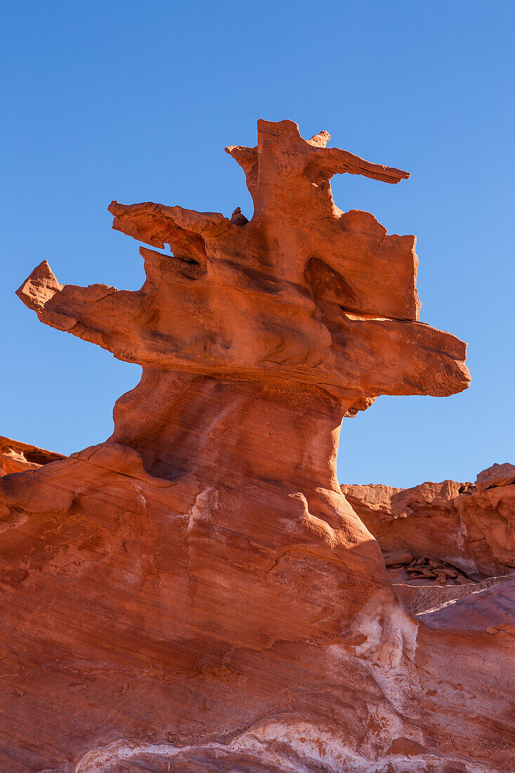 Fragile erodierte Azteken-Sandsteinformationen in Little Finland, Gold Butte National Monument, Nevada