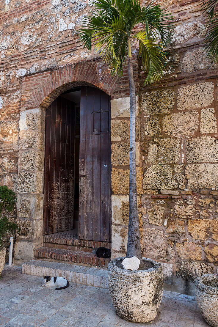 Zwei Katzen ruhen sich vor einem alten Kolonialhaus aus Stein in der Kolonialstadt Santo Domingo in der Dominikanischen Republik aus. Ein UNESCO-Weltkulturerbe