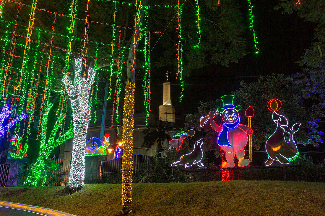 Millions of Christmas lights decorate the Ibero-American Park in Santo Domingo, Dominican Republic.