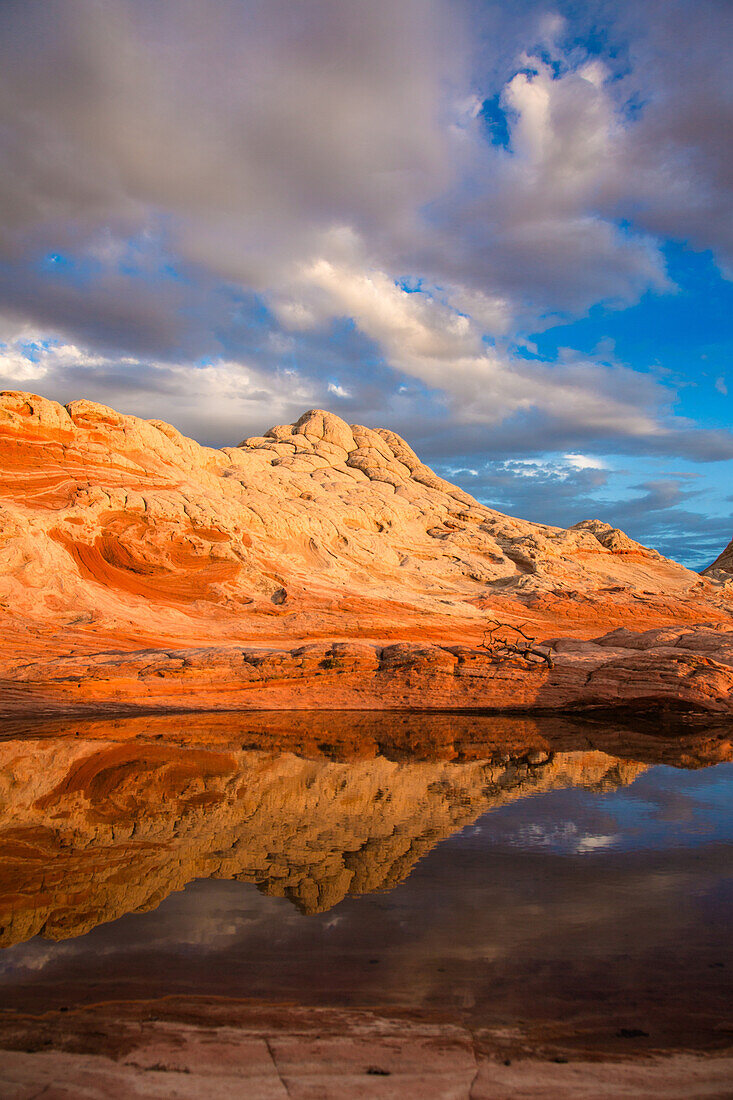 Sunset reflection in an ephemeral pool in the White Pocket Recreation Area, Vermilion Cliffs National Monument, Arizona.