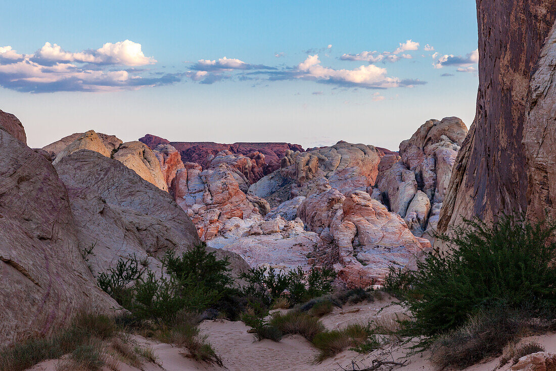 Der White Domes Trail schlängelt sich durch den erodierten Azteken-Sandstein im Valley of Fire State Park in Nevada