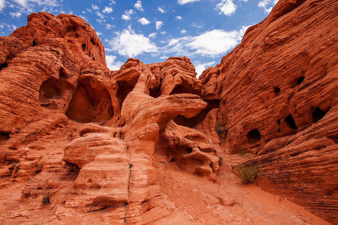 Detail of the eroded Aztec sandstone of Valley of Fire State Park in Nevada.