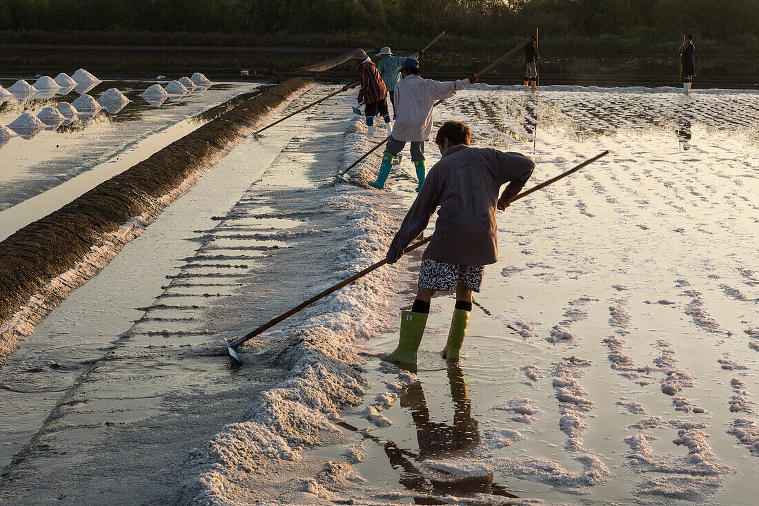 Workers producing salt by traditional methods used for thousands of years at a salt farm in Samut Sakhon,Thailand.