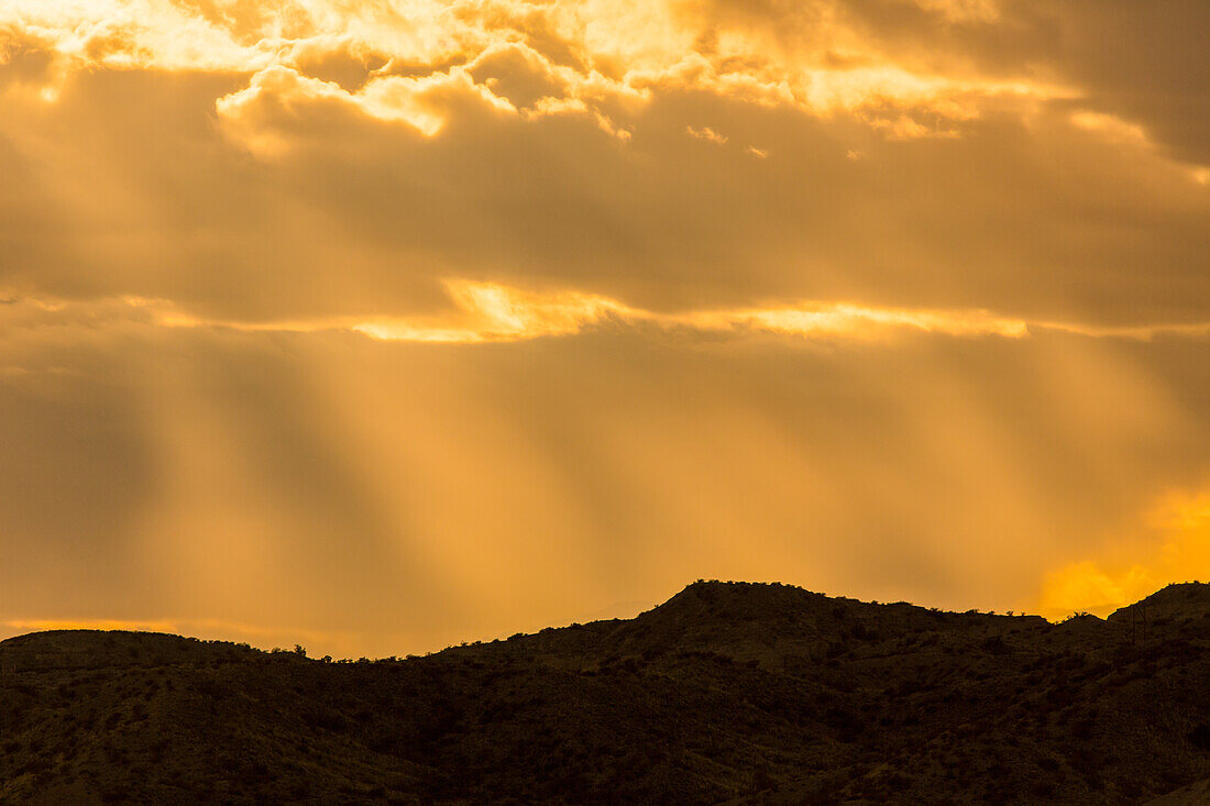 Sunrays through afternoon clouds over Bosque del Apache National Wildlife Refuge in New Mexico.