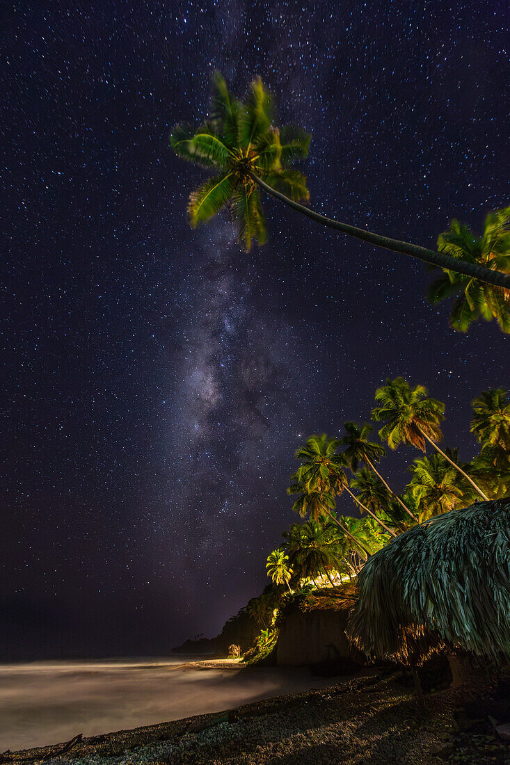 Die Milchstraße und Palmen bei Nacht, Dominikanische Republik. Die Palmen sind mit künstlichen Lichtern beleuchtet