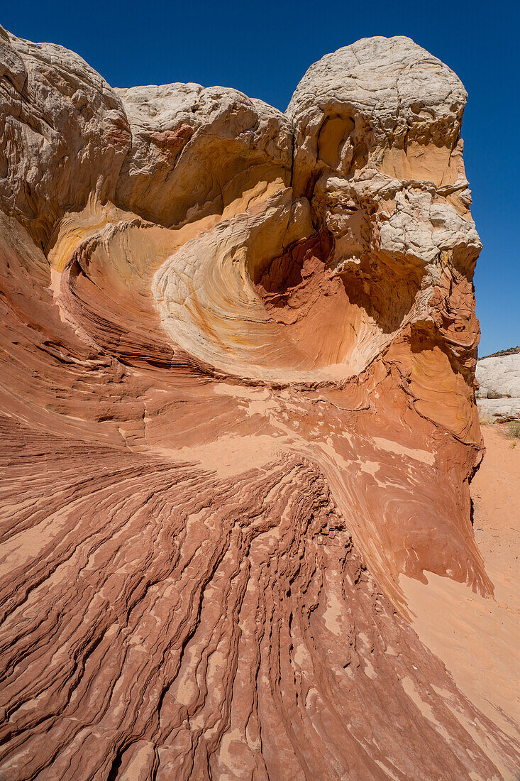 Farbenfroher erodierter Navajo-Sandstein in der White Pocket Recreation Area, Vermilion Cliffs National Monument, Arizona. Hier sind sowohl plastische Verformung als auch Querschichtung zu sehen.