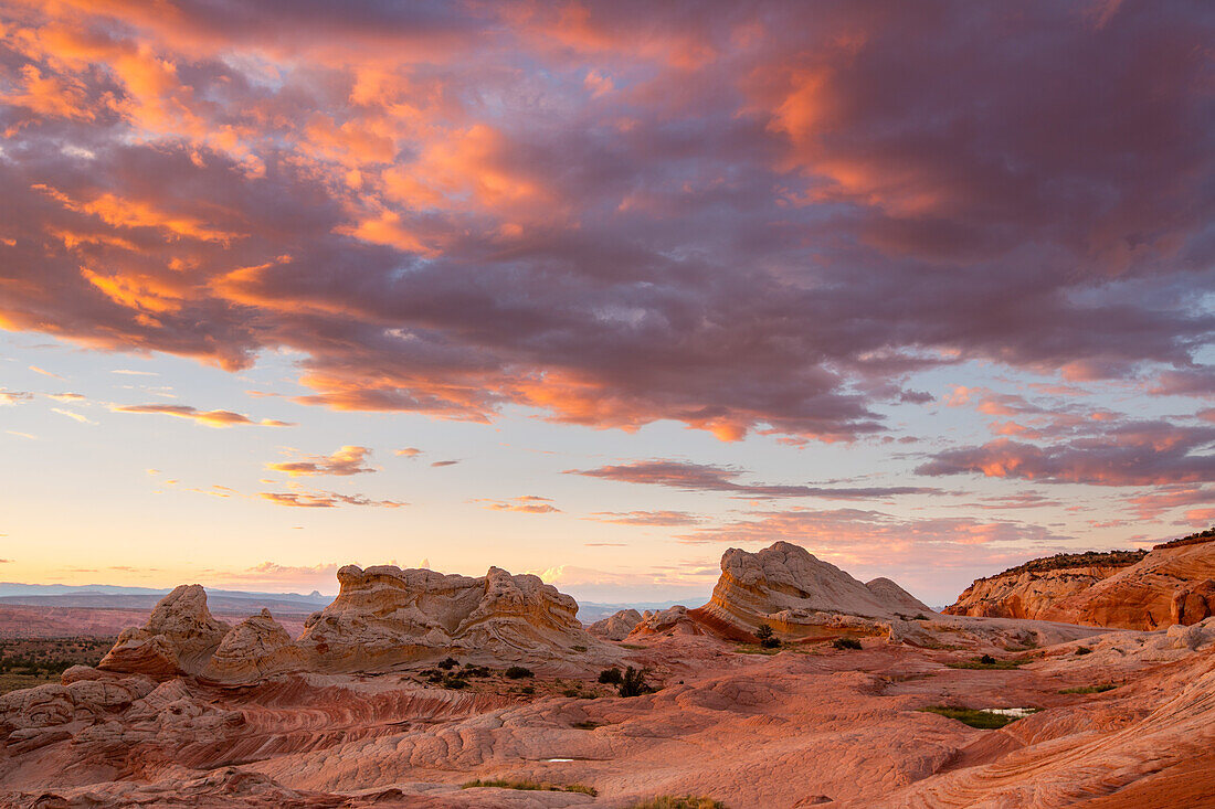 Wolken bei Sonnenuntergang über der White Pocket Recreation Area, Vermilion Cliffs National Monument, Arizona. Der Lollipop Rock befindet sich in der Mitte rechts.