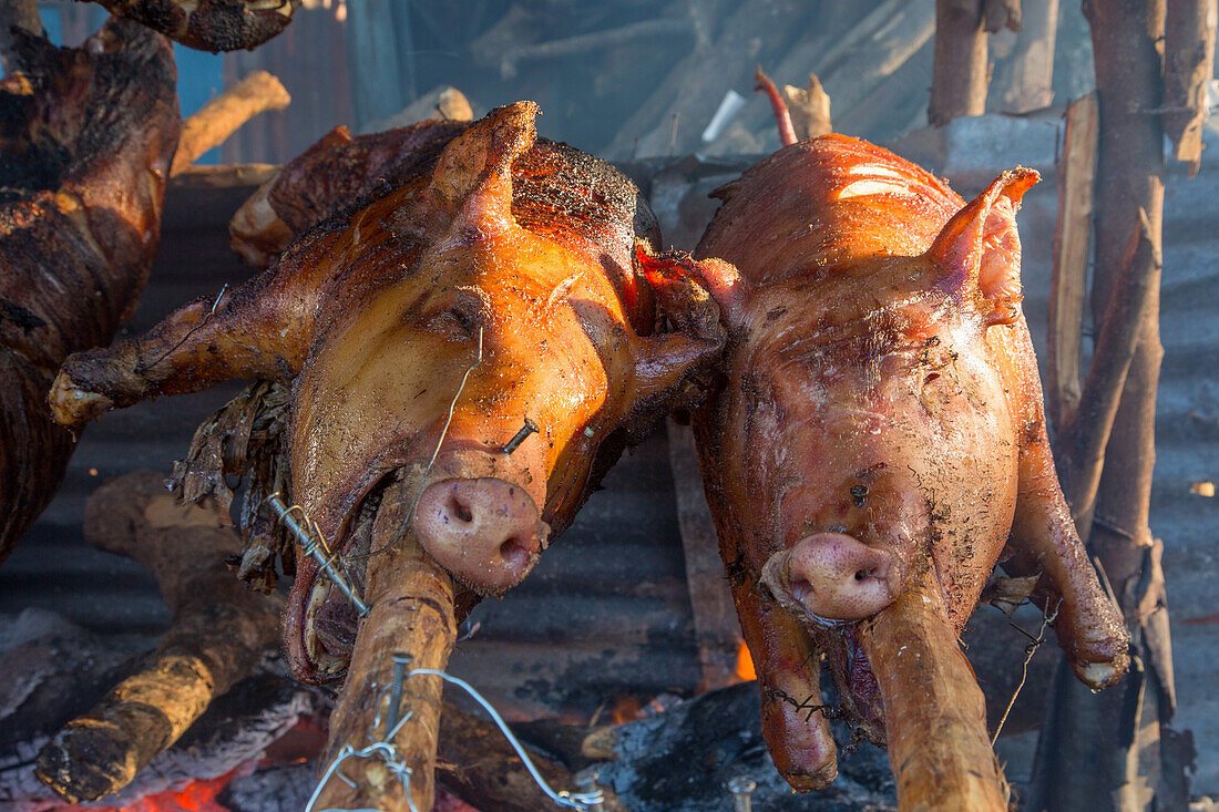 Braten von ganzen Schweinen auf Holzspießen über einem offenen Holzfeuer am Straßenrand in Haina, Dominikanische Republik