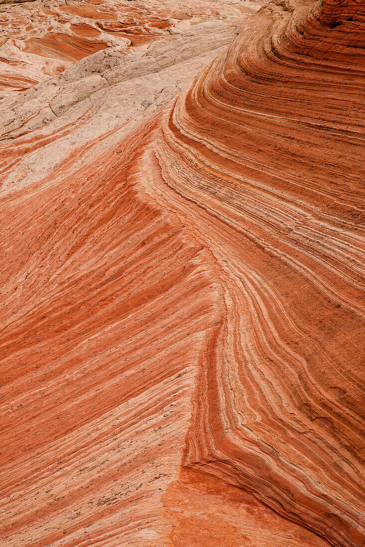 Eroded Navajo sandstone formations in the White Pocket Recreation Area, Vermilion Cliffs National Monument, Arizona. Cross-bedding is shown here.