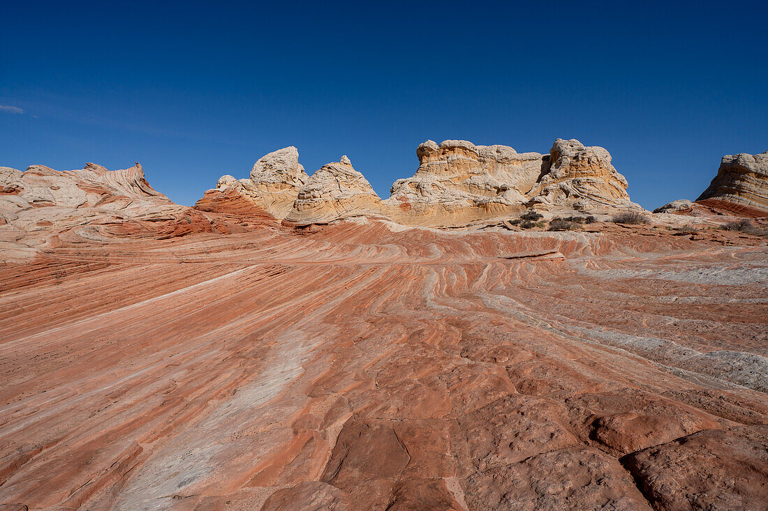 Eroded Navajo sandstone in the White Pocket Recreation Area, Vermilion Cliffs National Monument, Arizona.