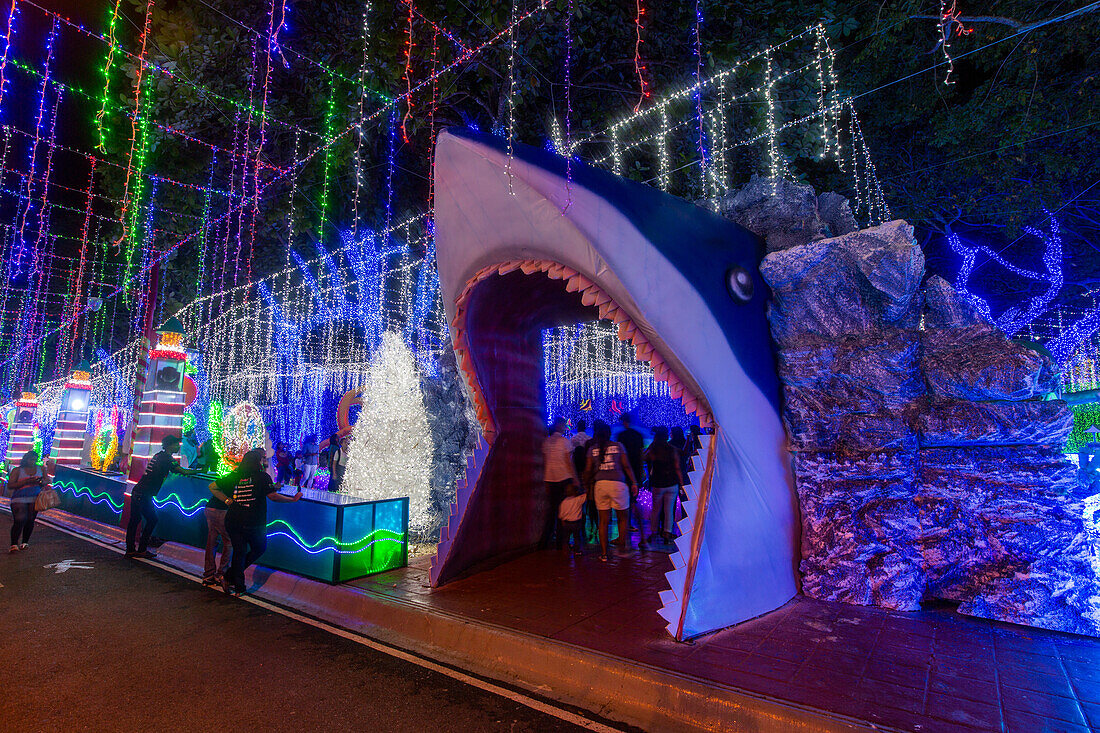 Millions of Christmas lights decorate the Ibero-American Park in Santo Domingo, Dominican Republic.