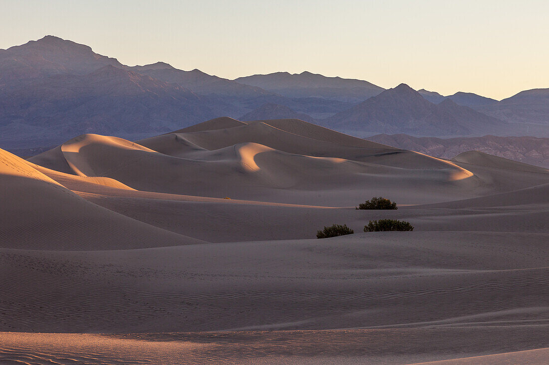 Sonnenaufgang auf den Sanddünen von Mesquite Flat im Death Valley National Park in der Mojave-Wüste, Kalifornien. Dahinter die Schwarzen Berge