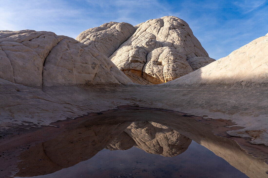 Brain rock reflected in an ephemeral pool in the White Pocket Recreation Area, Vermilion Cliffs National Monument, Arizona. Also known as pillow rock, a form of Navajo sandstone.