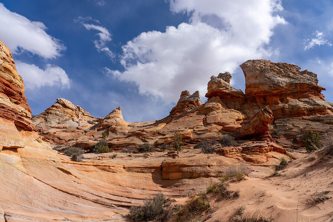 Eroded Navajo sandstone rock formations near South Coyote Buttes, Vermilion Cliffs National Monument, Arizona.