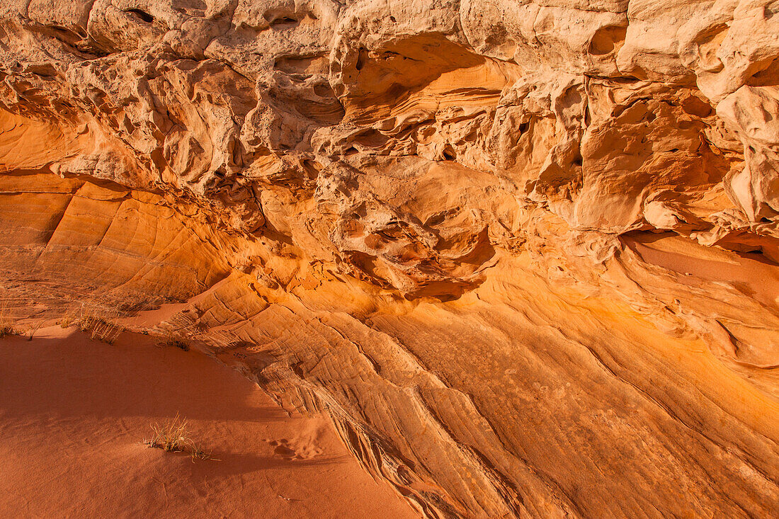 Erodierte Navajo-Sandsteinformationen in der White Pocket Recreation Area, Vermilion Cliffs National Monument, Arizona