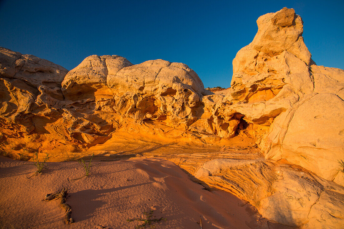 Colorful eroded Navajo sandstone at sunset in the White Pocket Recreation Area, Vermilion Cliffs National Monument, Arizona.