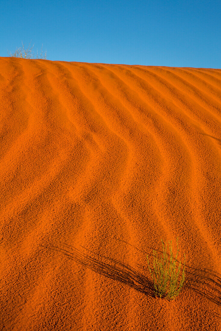 Kräuselungen in den roten Sanddünen im Monument Valley Navajo Tribal Park in Arizona