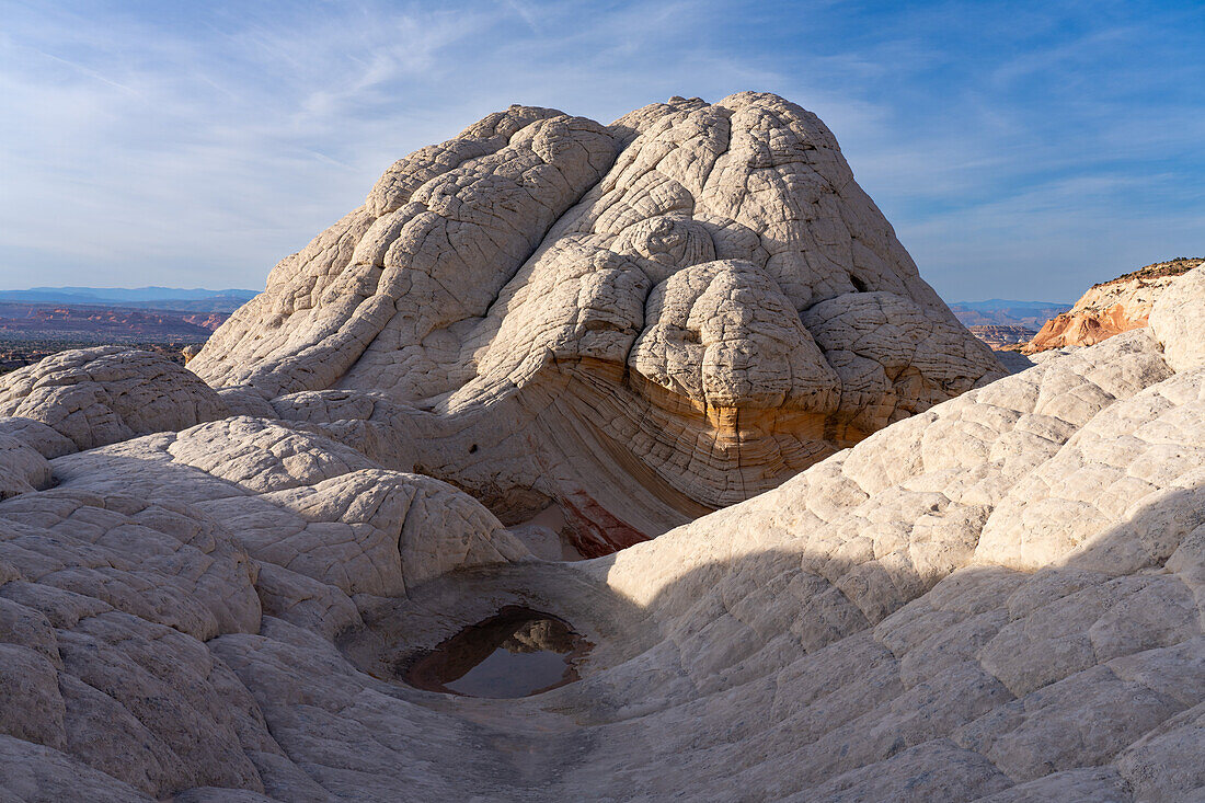 Brain Rock spiegelt sich in einem ephemeren Pool in der White Pocket Recreation Area, Vermilion Cliffs National Monument, Arizona. Auch bekannt als Pillow Rock, eine Form des Navajo-Sandsteins