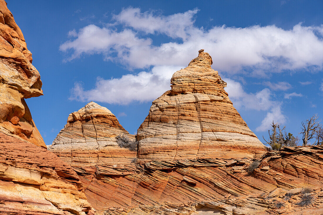 Eroded Navajo sandstone rock formations near South Coyote Buttes, Vermilion Cliffs National Monument, Arizona.