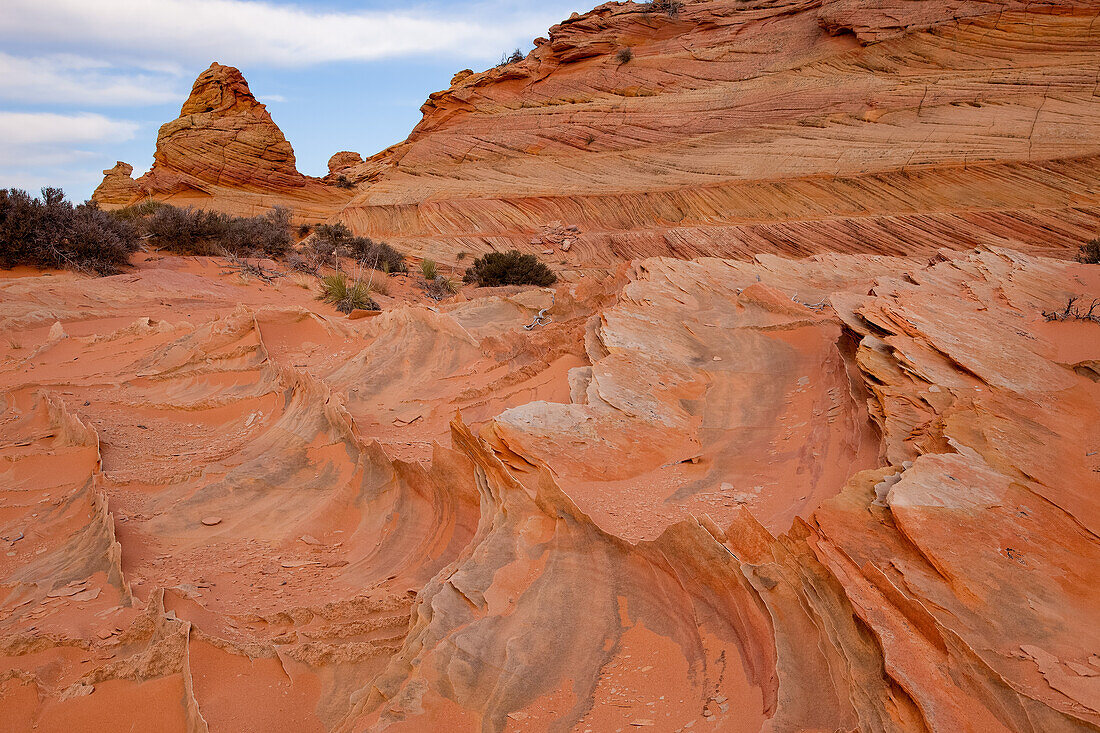 Fragile eroded Navajo sandstone fins in South Coyote Buttes, Vermilion Cliffs National Monument, Arizona.