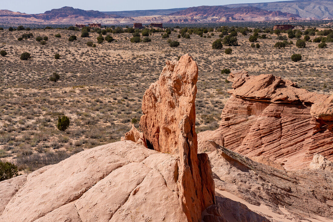 Eine Navajo-Sandstein-Felsflosse in der White Pocket Recreation Area, Vermilion Cliffs National Monument, Arizona