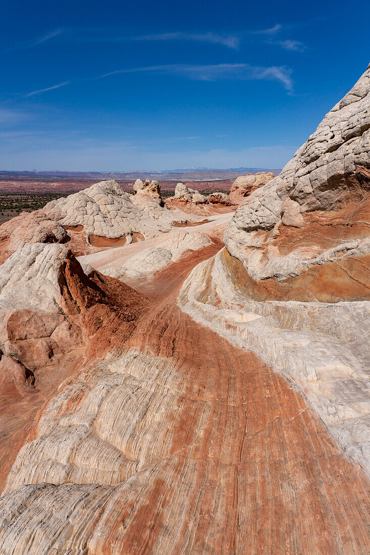 Erodierter weißer Pillow Rock oder Brain Rock Sandstein in der White Pocket Recreation Area, Vermilion Cliffs National Monument, Arizona. Sowohl der rote als auch der weiße Sandstein sind Navajo-Sandstein, aber der rote hat mehr Eisenoxidanteil