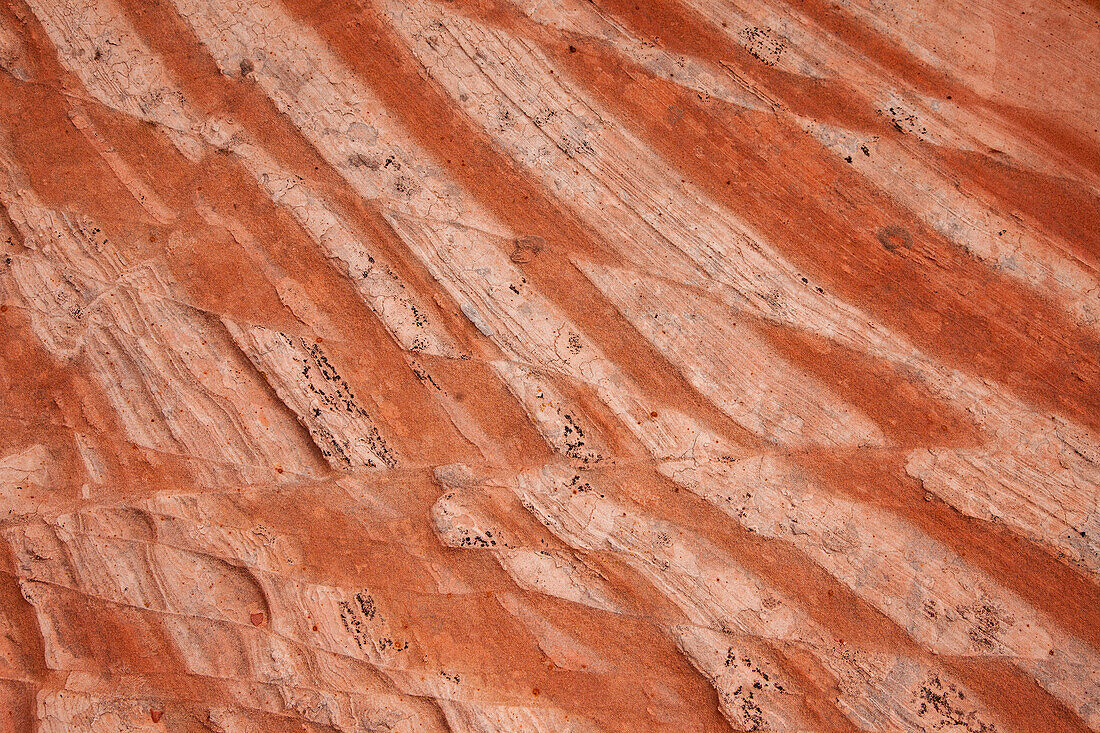 Eroded Navajo sandstone formations in the White Pocket Recreation Area, Vermilion Cliffs National Monument, Arizona. Small laterally displaced faults are evident in the stripes.