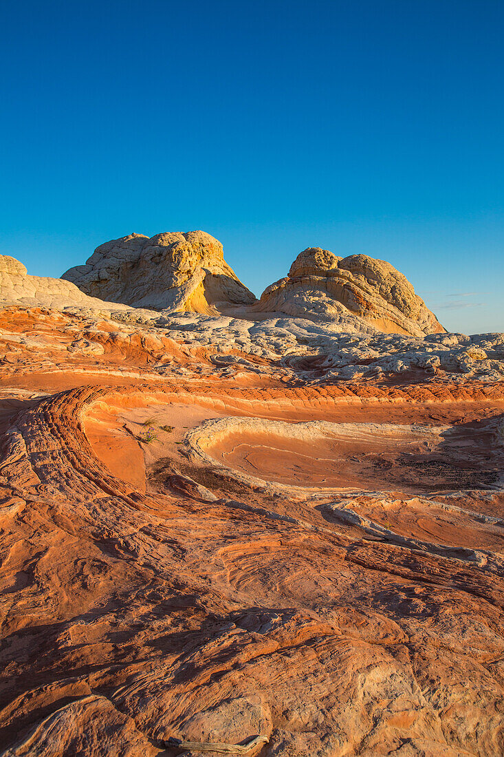 First light on the Dragon's Tail in the White Pocket Recreation Area, Vermilion Cliffs National Monument, Arizona.