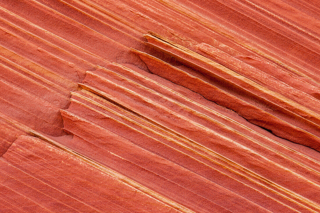 Farbenfrohe Muster im Navajo-Sandstein in South Coyote Buttes, Vermilion Cliffs National Monument, Arizona