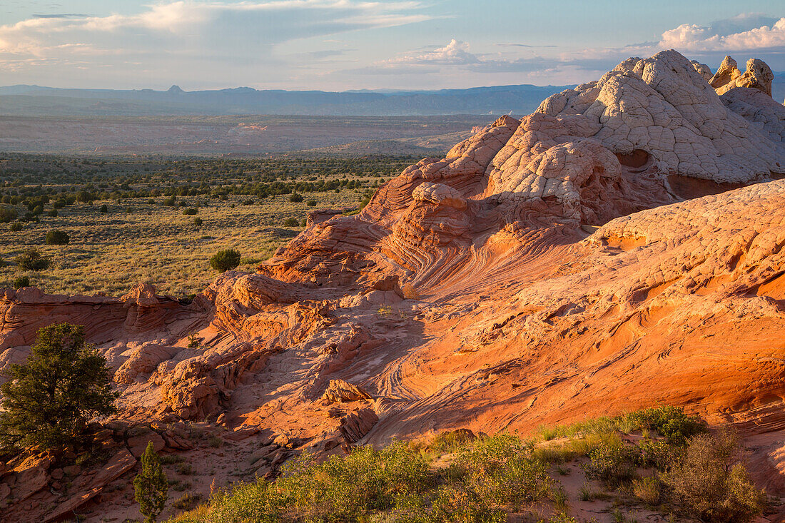 Eroded white pillow rock or brain rock sandstone in the White Pocket Recreation Area, Vermilion Cliffs National Monument, Arizona. Both the red and white are Navajo sandstone but the red contains more iron oxide.