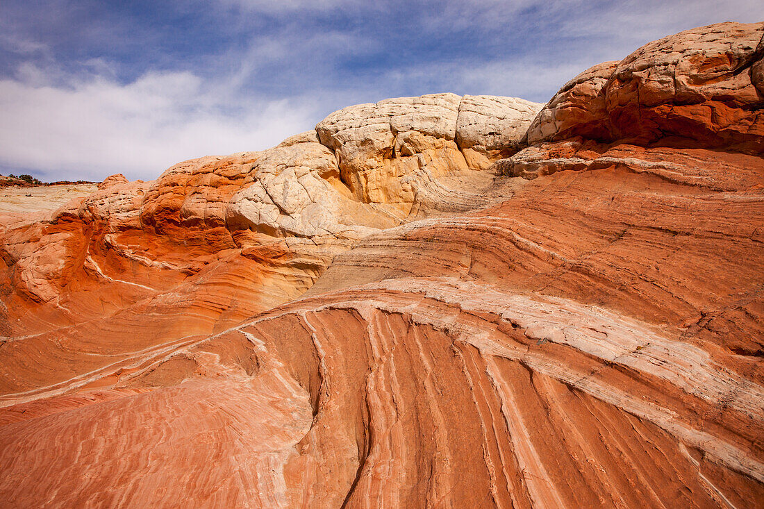 Colorful eroded Navajo sandstone in the White Pocket Recreation Area, Vermilion Cliffs National Monument, Arizona. Cross-bedding is shown here.