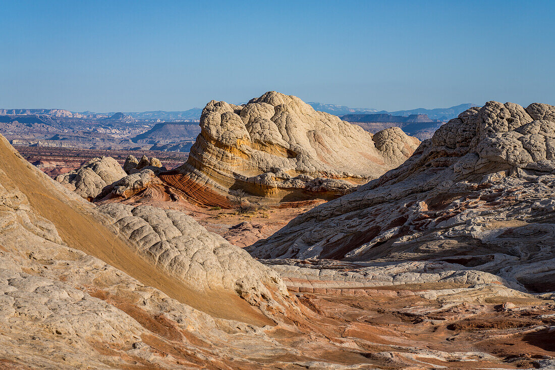 Lollipop Rock, a sandstone formation in the White Pocket Recreation Area, Vermilion Cliffs National Monument, Arizona.